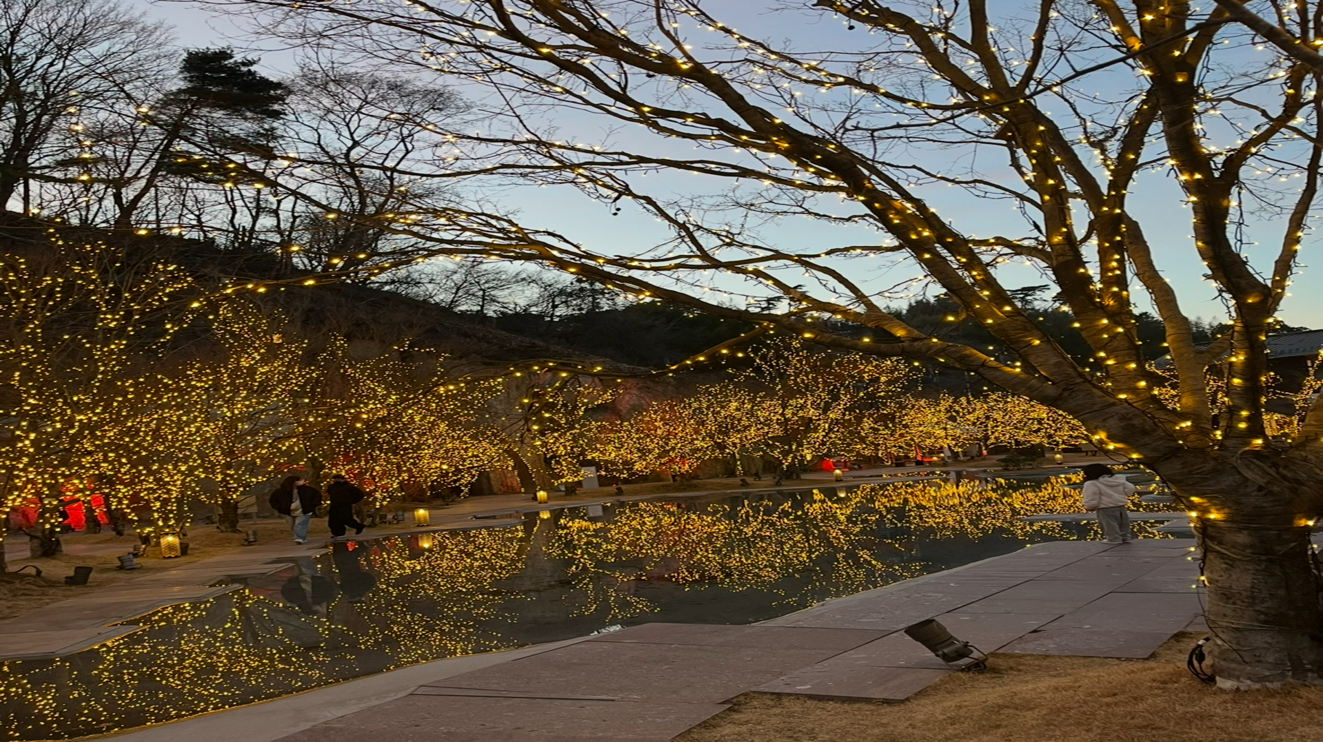 テキストテキストテキスト