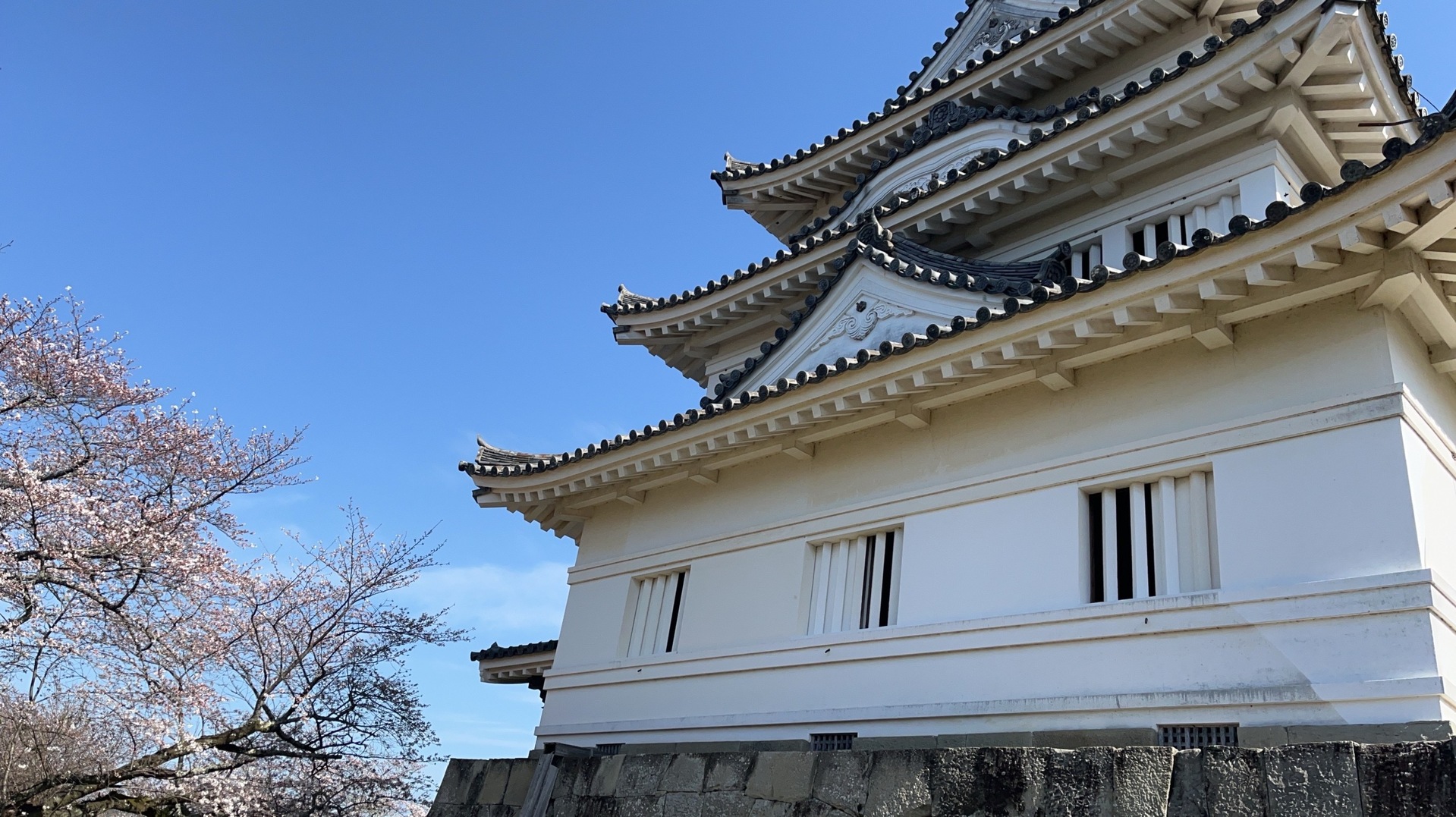 テキストテキストテキスト