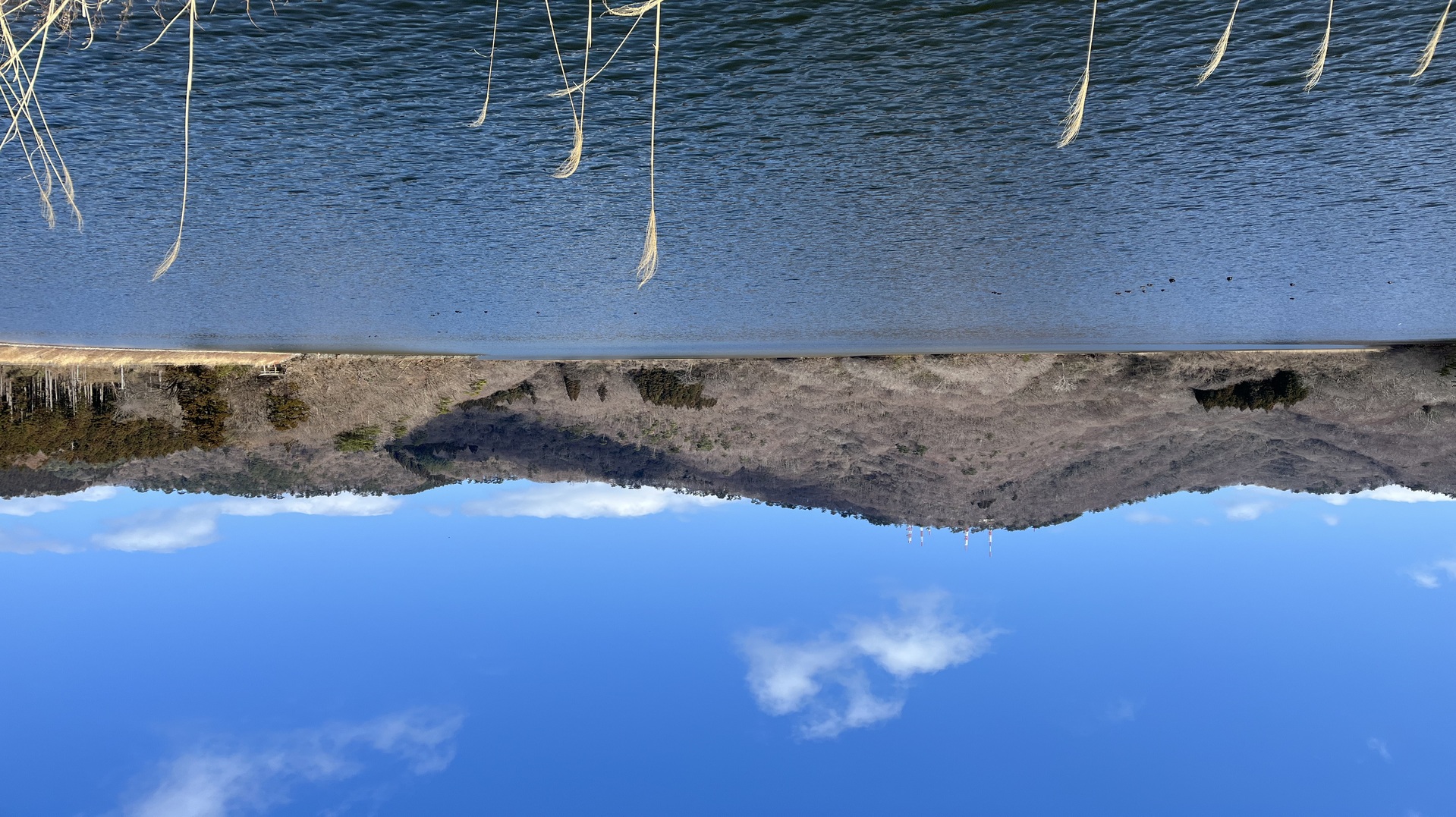 テキストテキストテキスト