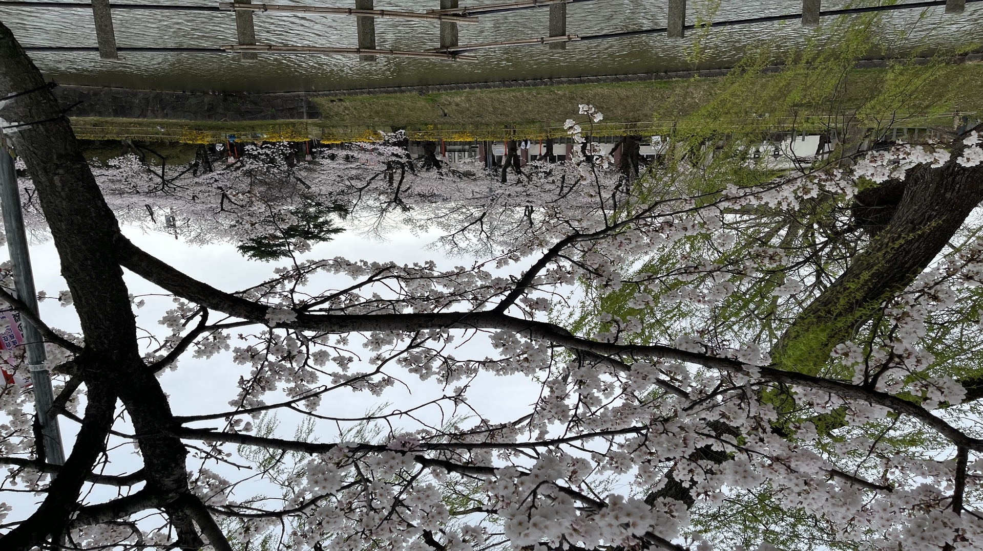 テキストテキストテキスト