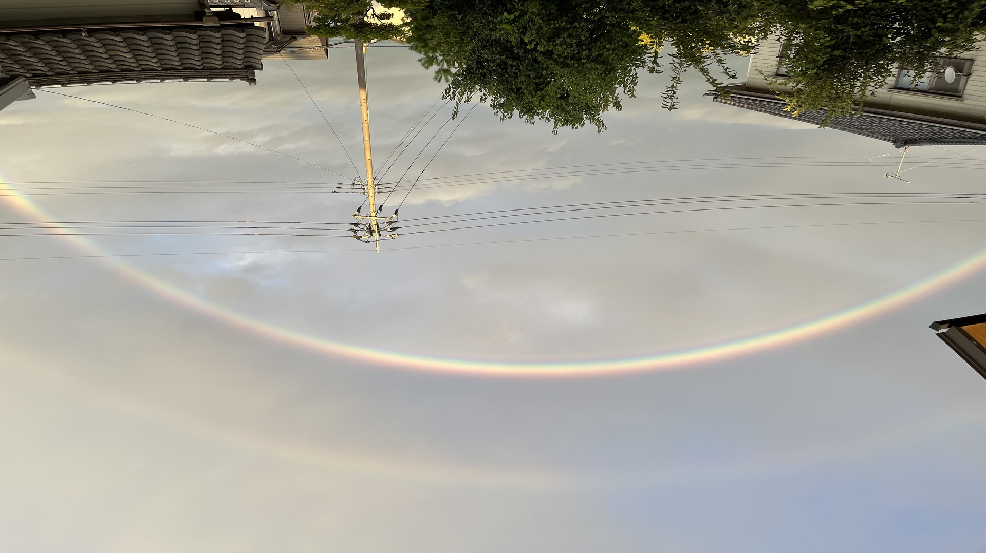 テキストテキストテキスト